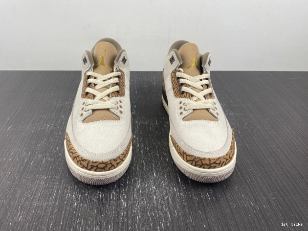 CT8532-102 Jordan Air Palomino 3 0816